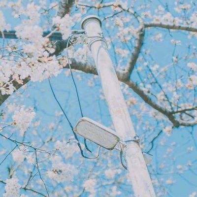 六号门破解版下载
